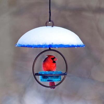 Show full view: Mosaic Birds Petite Glass Baffle Bird Weather Dome, 11-in, Cobalt Blue slide 3 of 7