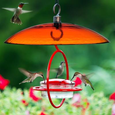 Show full view: Mosaic Birds Petite Glass Baffle Dome Feeder, Fading Sunset, 1 slide 6 of 8