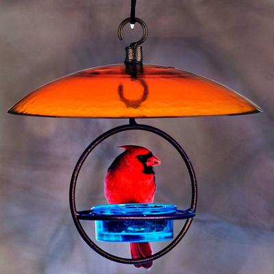 Show full view: Mosaic Birds Petite Glass Baffle Dome Feeder, Fading Sunset, 1 slide 7 of 8