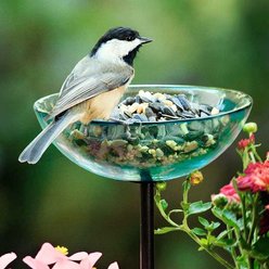 Mosaic Birds Poppy Stake Bird Feeder, 4.7-oz, Clear slide 2 of 7
