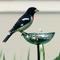Show in main carousel: Mosaic Birds Poppy Stake Bird Feeder, 4.7-oz, Clear slide 3 of 7