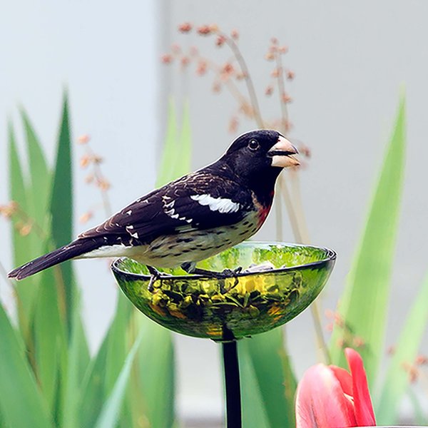 Mosaic Birds Poppy Stake Bird Feeder, 4.7-oz