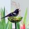Show in main carousel: Mosaic Birds Poppy Stake Bird Feeder, 4.7-oz, Lime slide 2 of 5