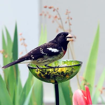 Show full view: Mosaic Birds Poppy Stake Bird Feeder, 4.7-oz, Lime slide 2 of 5