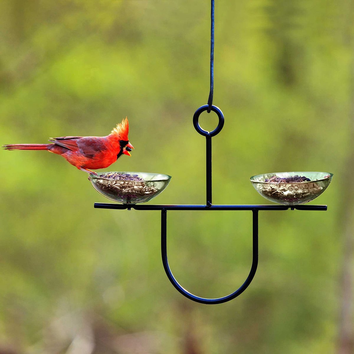Mosaic Birds Side by Side Poppy Feeder