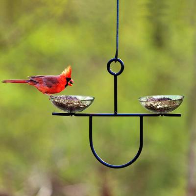 Show full view: Mosaic Birds Side by Side Poppy Feeder, Clear, 1 slide 4 of 5