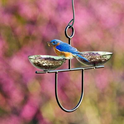 Show full view: Mosaic Birds Side by Side Poppy Feeder, Clear, 1 slide 3 of 5