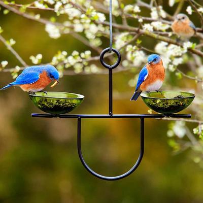 Show full view: Mosaic Birds Side by Side Poppy Feeder, Lime, 1 slide 2 of 6