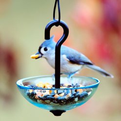 Mosaic Birds Single Hanging Poppy Bird Feeder, 4.7-oz, Aqua slide 2 of 4
