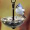 Show in main carousel: Mosaic Birds Single Hanging Poppy Bird Feeder, 4.7-oz, Clear slide 4 of 5