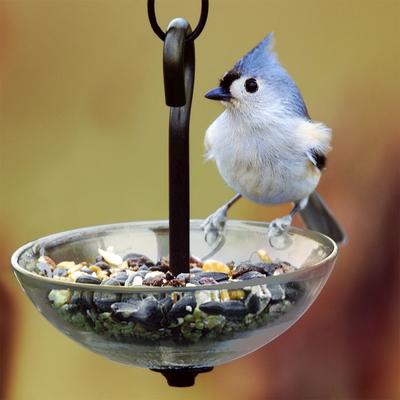 Show full view: Mosaic Birds Single Hanging Poppy Bird Feeder, 4.7-oz, Clear slide 4 of 5