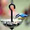 Show in main carousel: Mosaic Birds Single Hanging Poppy Bird Feeder, 4.7-oz, Clear slide 2 of 5
