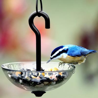 Show full view: Mosaic Birds Single Hanging Poppy Bird Feeder, 4.7-oz, Clear slide 2 of 5