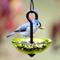 Show in main carousel: Mosaic Birds Single Hanging Poppy Bird Feeder, 4.7-oz, Lime slide 2 of 7