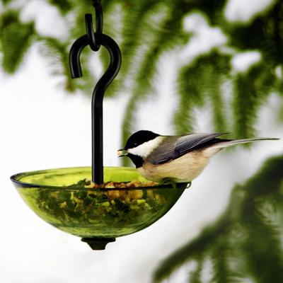 Show full view: Mosaic Birds Single Hanging Poppy Bird Feeder, 4.7-oz, Lime slide 3 of 7