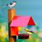 Show in main carousel: Mosaic Birds The Cottage House Bird Feeder, 3.4-oz, Red slide 5 of 6