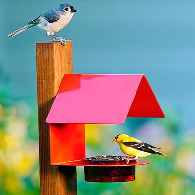 Show full view: Mosaic Birds The Cottage House Bird Feeder, 3.4-oz, Red slide 5 of 6