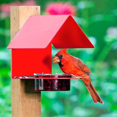 Show full view: Mosaic Birds The Cottage House Bird Feeder, 3.4-oz, Red slide 3 of 6