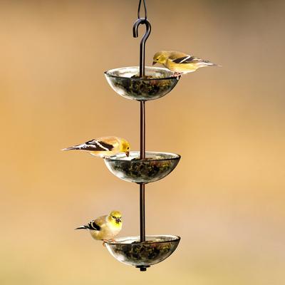 Show full view: Mosaic Birds Triple Hanging Poppy Bird Feeder, 14.1-oz, Clear slide 4 of 6
