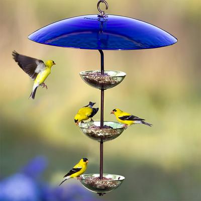Show full view: Mosaic Birds Triple Hanging Poppy Bird Feeder, 14.1-oz, Clear slide 3 of 6