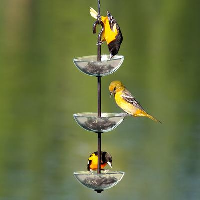 Show full view: Mosaic Birds Triple Hanging Poppy Bird Feeder, 14.1-oz, Clear slide 2 of 6