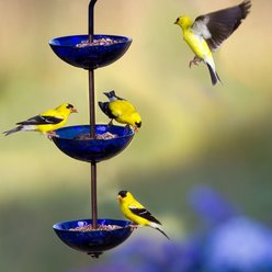 Mosaic Birds Triple Hanging Poppy Bird Feeder, 14.1-oz, Cobalt Blue slide 2 of 5
