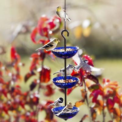 Show full view: Mosaic Birds Triple Hanging Poppy Bird Feeder, 14.1-oz, Cobalt Blue slide 3 of 6