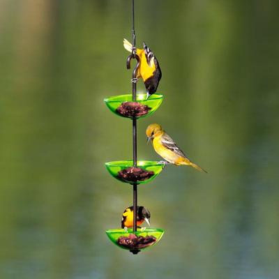 Show full view: Mosaic Birds Triple Hanging Poppy Bird Feeder, 14.1-oz, Lime slide 2 of 8