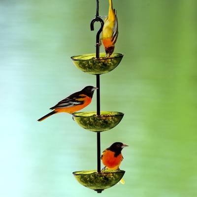 Show full view: Mosaic Birds Triple Hanging Poppy Bird Feeder, 14.1-oz, Lime slide 5 of 8