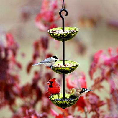 Show full view: Mosaic Birds Triple Hanging Poppy Bird Feeder, 14.1-oz, Lime slide 4 of 8