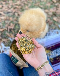 Mother Hen Tea Co. Bawk Botanicals Daily Wellness Blend Chicken Herbal Feed Supplement, 12-oz bag slide 2 of 3