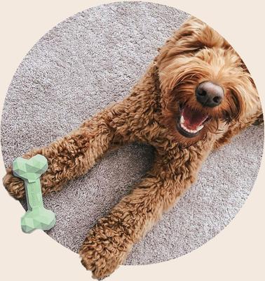 Show full view: Mount Ara Superbite Dog Toy, 2 count slide 4 of 7