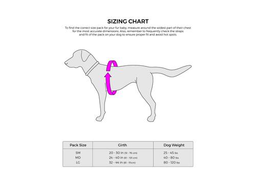 Show full view: Mountainsmith K-9 Dog Pack, Caribe Blue, Medium slide 2 of 6