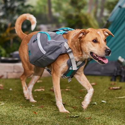 Show full view: Mountainsmith K-9 Dog Pack, Caribe Blue, Medium slide 5 of 6