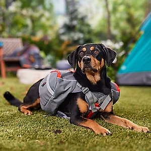 Mountainsmith K-9 Dog Pack, Lava Red, Medium