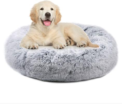 Show full view: Mr. Peanut's OrthoPlush Orthopedic Cat & Dog Bed, Gray, Small slide 1 of 5