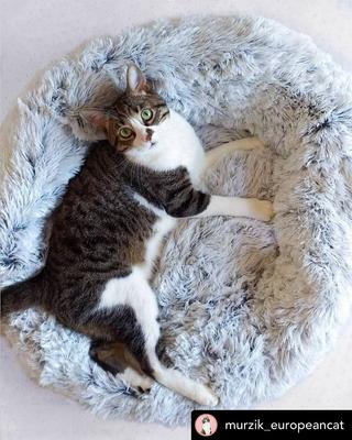 Show full view: Mr. Peanut's OrthoPlush Orthopedic Cat & Dog Bed, Snowflake White, Medium slide 5 of 6