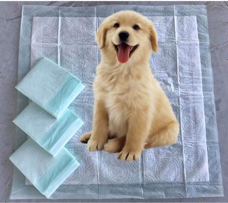 Show full view: Mr. Peanut's Premium Absorbent Gel Dog & Cat Pee Pads, 4 count slide 3 of 7