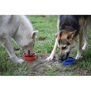 Mr. Peanut's Premium Collapsible Non-Skid Silicone Dog & Cat Bowls, 12-oz, 4 count