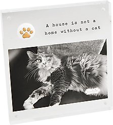 Mud Pie 4-in X 6-in Magnetic Acrylic Cat Paw Picture Frame slide 1 of 2