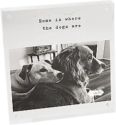 Mud Pie 4-in X 6-in Magnetic Acrylic Dog Bone Picture Frame