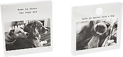 Mud Pie 4-in X 6-in Magnetic Acrylic Dog Bone Picture Frame slide 2 of 2