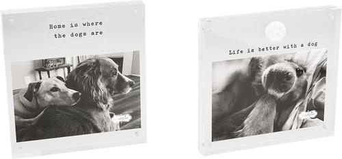 Show full view: Mud Pie 4-in X 6-in Magnetic Acrylic Dog Bone Picture Frame slide 2 of 2
