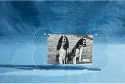 Mud Pie Bone Acrylic Dog Picture Frame slide 2 of 2