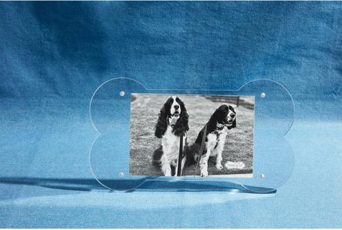 Show full view: Mud Pie Bone Acrylic Dog Picture Frame slide 2 of 2