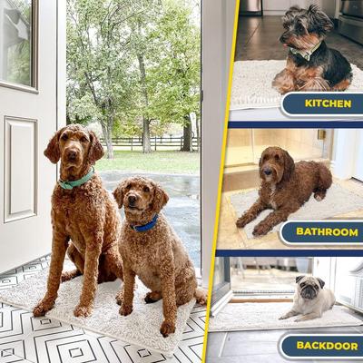 Show full view: Muddy Mat Highly Absorbent Chenille Dog Door Mat, White, 19 x 30-in slide 7 of 9