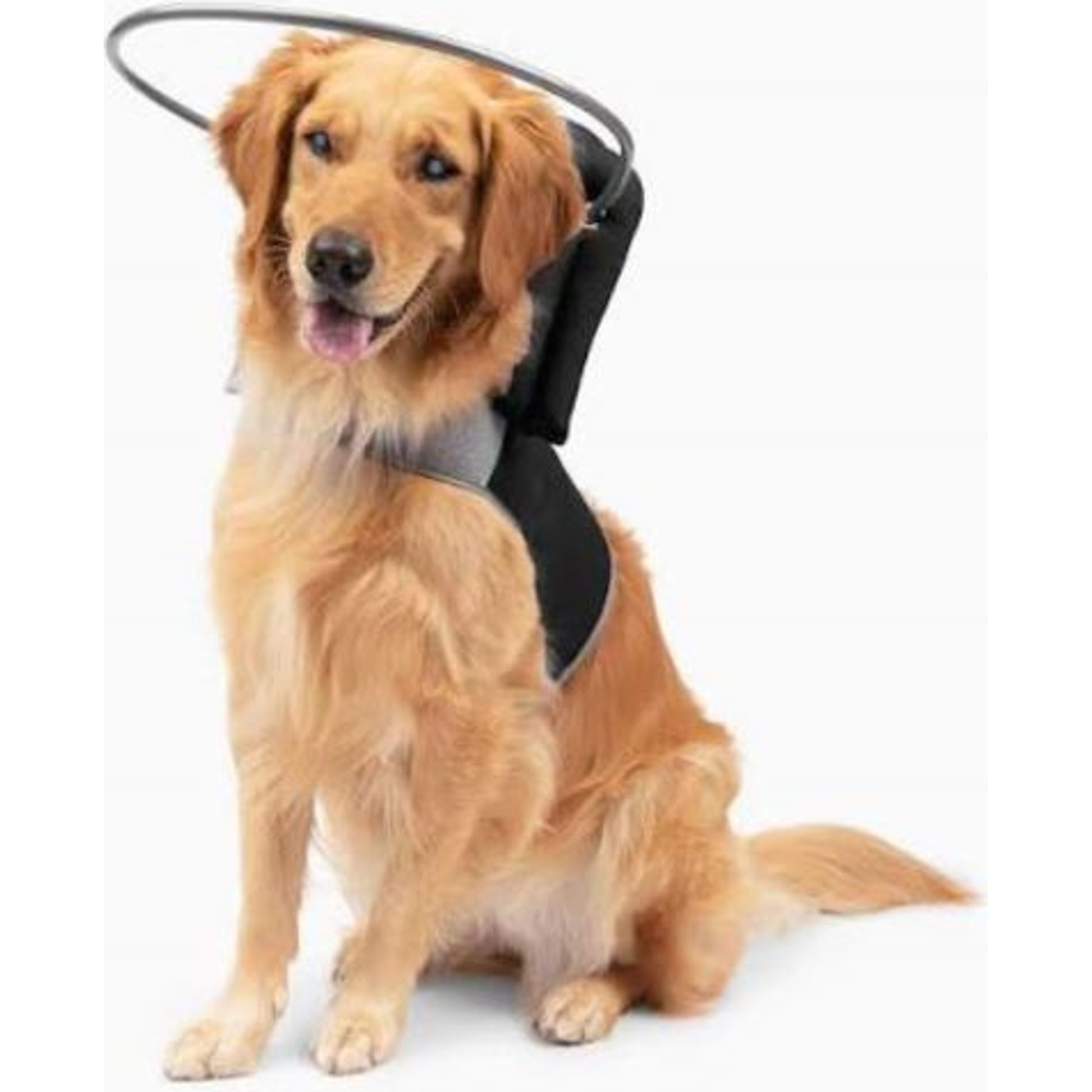 Muffin's Halo For Blind Dogs Handicapped Support Dog Guide Harness Accessory, Black Braille, Size 8