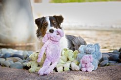 Multipet Aromadog Calm Flattie Squeaky Plush Dog Toy, Character Varies, 19-in, 1 count slide 2 of 2