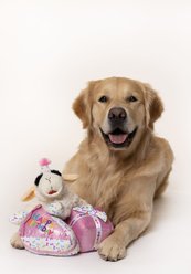 Multipet Birthday Present Squeaky Plush Dog Toy, 4.5-in, Pink slide 2 of 4