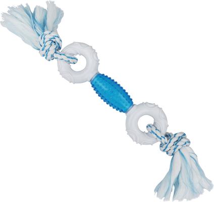 Show full view: Multipet Canine Clean Dental Tough Dog Chew Toy, Blue slide 1 of 3